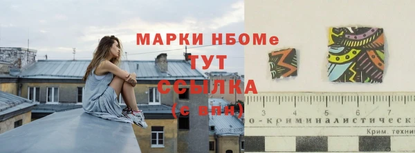 apvp Алзамай