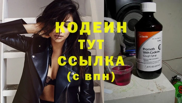 прущий лед Арсеньев