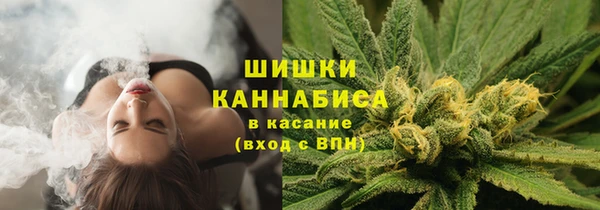 прущий лед Арсеньев
