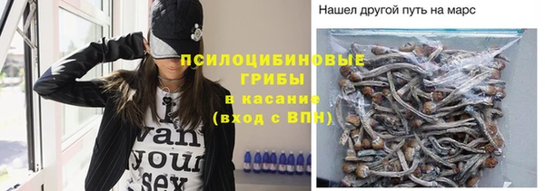 прущий лед Арсеньев