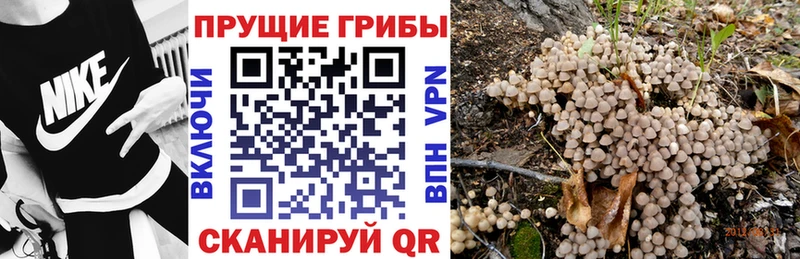 что такое наркотик  Верхняя Салда  Галлюциногенные грибы MAGIC MUSHROOMS 
