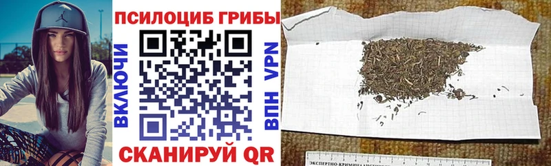 Псилоцибиновые грибы ЛСД Верхняя Салда